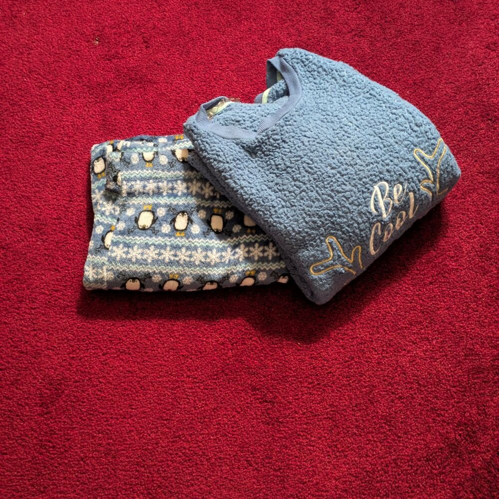 Secret Treasures Blue Fleece Penguin Pajama Set Women’s Size L (12–14)